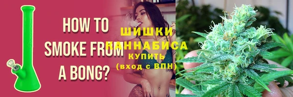 стафф Корсаков