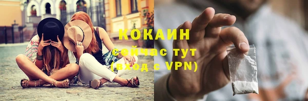 стафф Корсаков