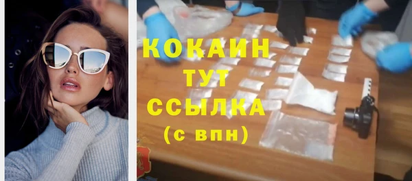стафф Корсаков
