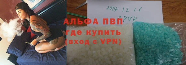стафф Корсаков