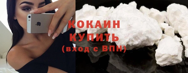 стафф Корсаков
