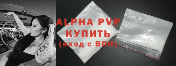стафф Корсаков