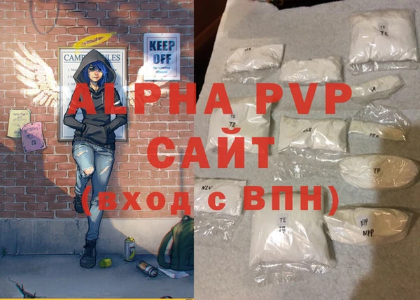стафф Корсаков