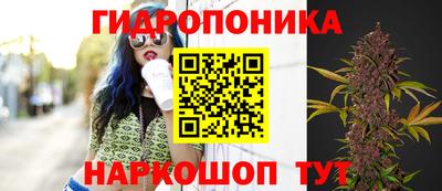 apvp Волжск