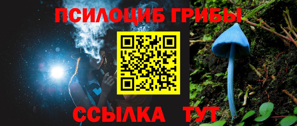 ГАШ Невинномысск