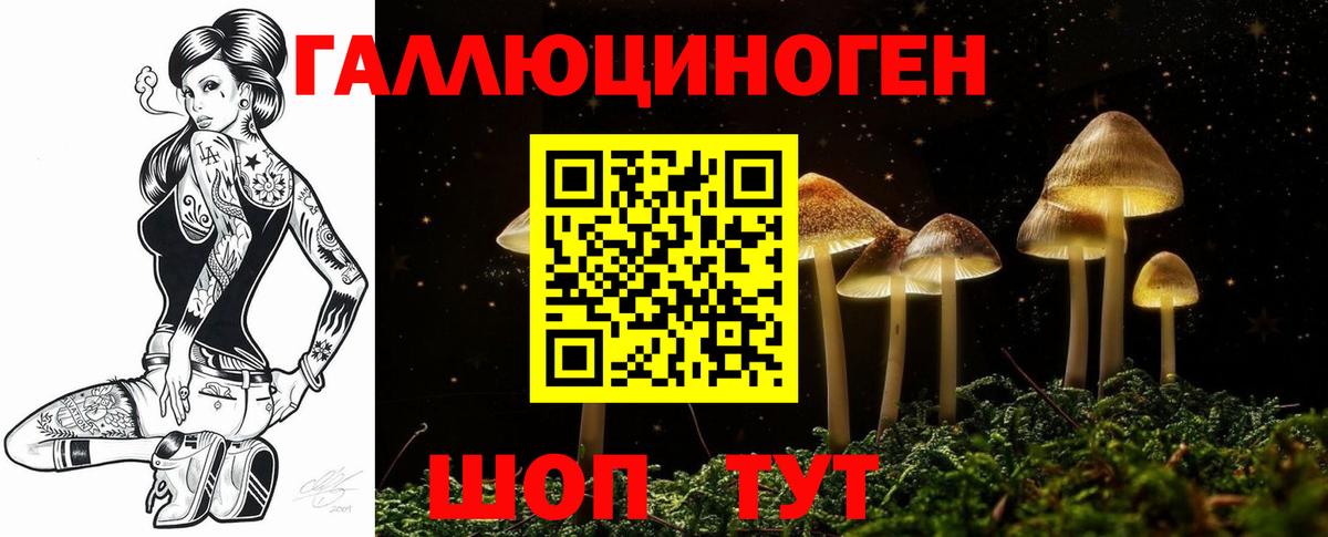 Невинномысск  Псилоцибиновые грибы прущие грибы  Вход с VPN 