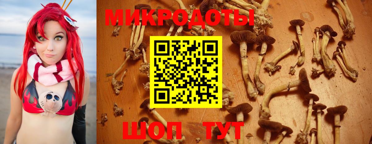 Галлюциногенные грибы мухоморы  Невинномысск 